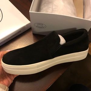 Brand new Steve Madden suede gills